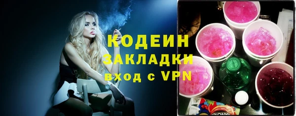 спиды Бородино
