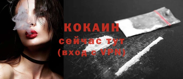 спиды Бородино
