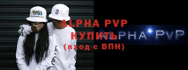 спиды Бородино