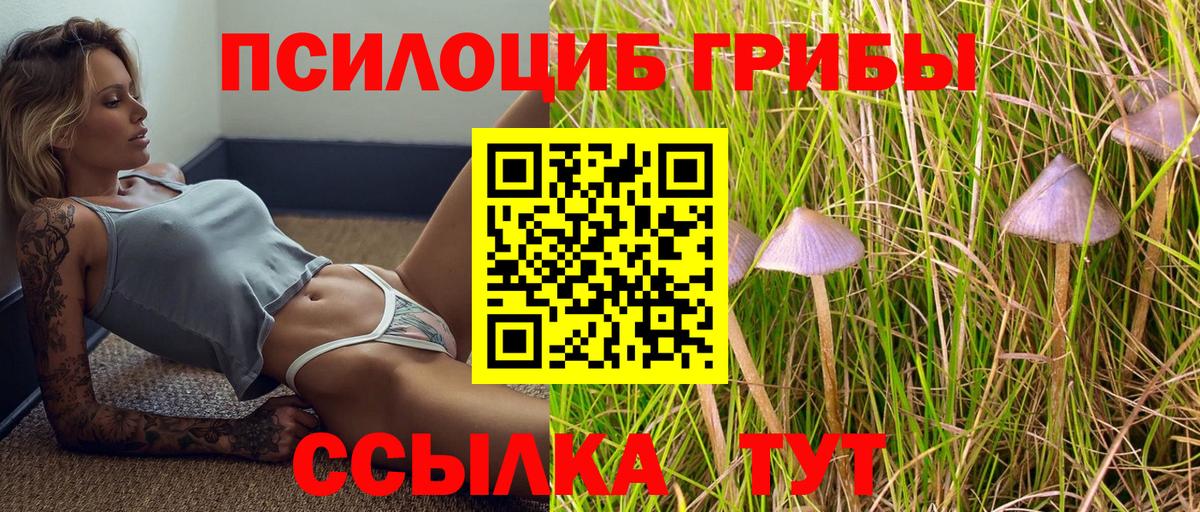 Псилоцибиновые грибы прущие грибы  Вход с VPN  Псилоцибиновые грибы мицелий  Гусев 