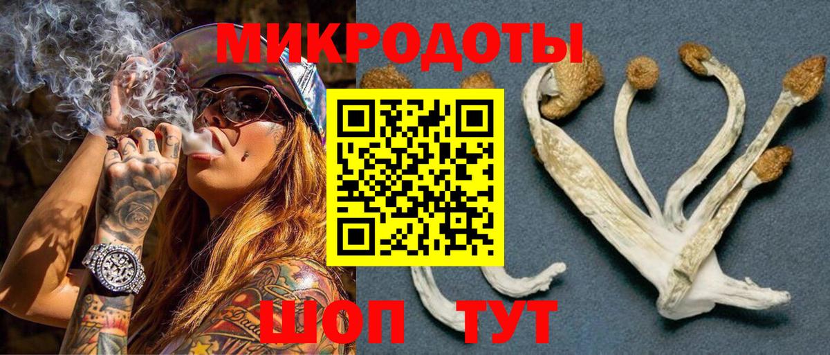 Псилоцибиновые грибы GOLDEN TEACHER Гусев