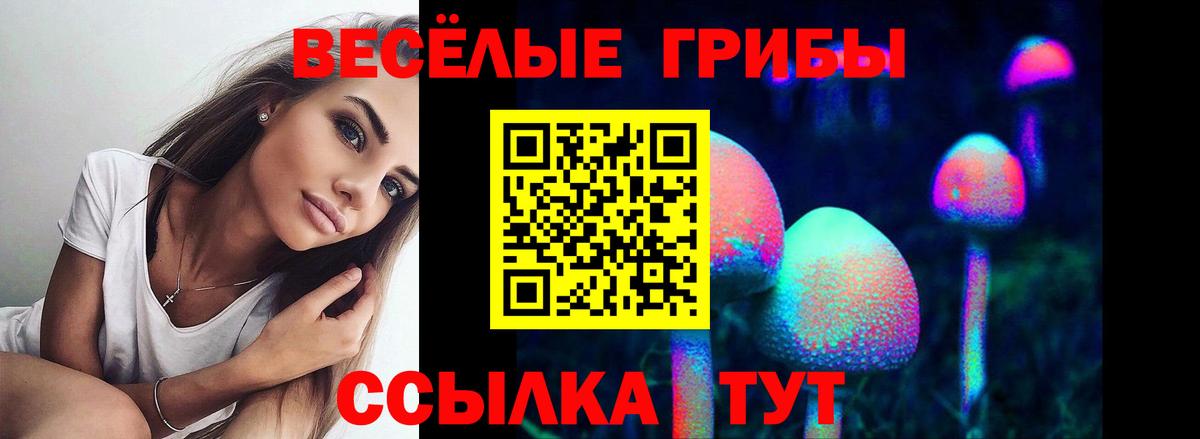 Галлюциногенные грибы прущие грибы  как найти   Гусев 