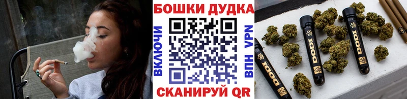 Бошки Шишки план  купить наркотик  Гусев 